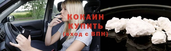 ГАЛЛЮЦИНОГЕННЫЕ ГРИБЫ Белокуриха