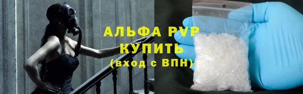 ГАЛЛЮЦИНОГЕННЫЕ ГРИБЫ Белокуриха