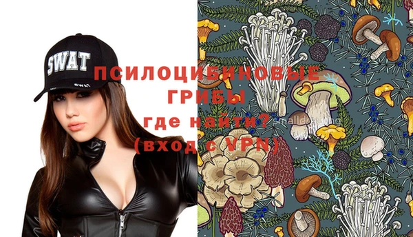ГАЛЛЮЦИНОГЕННЫЕ ГРИБЫ Белокуриха