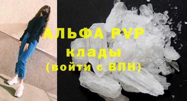 ГАЛЛЮЦИНОГЕННЫЕ ГРИБЫ Белокуриха